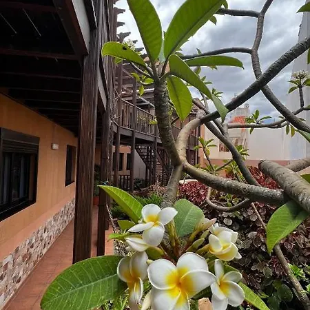 Aloha Apartment